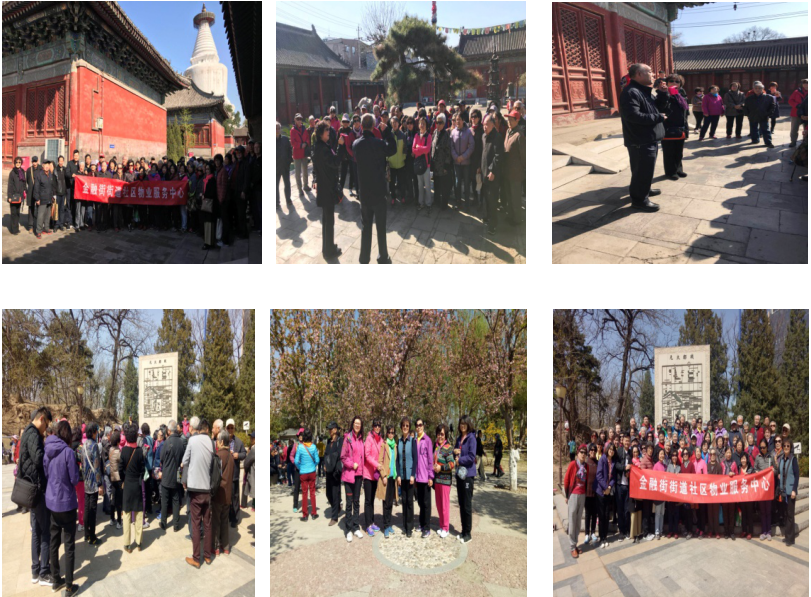 传承文化 清明祭祖踏青
